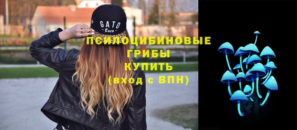 прущая мука Алексин