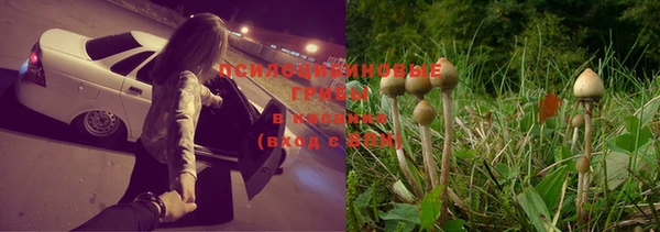 экстази Алзамай