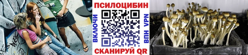 Псилоцибиновые грибы Psilocybine cubensis  мега вход  Алушта 